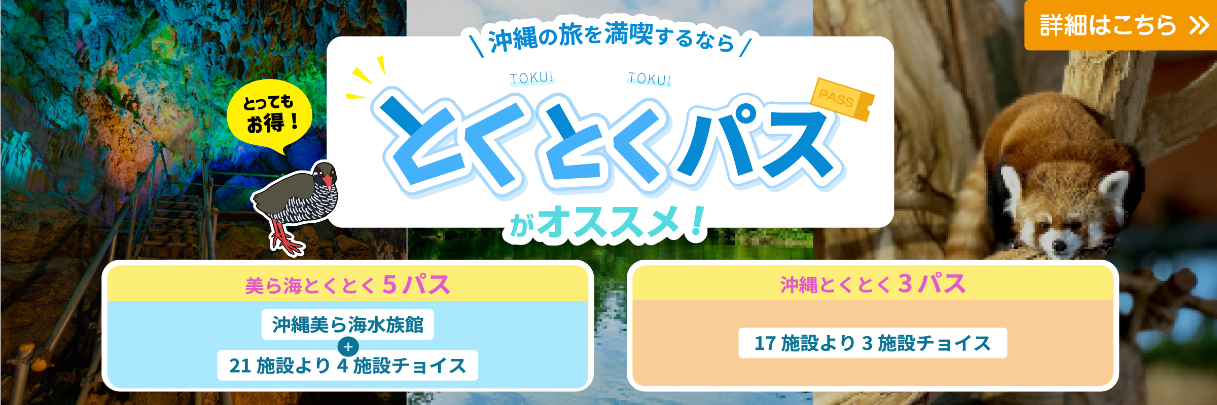 とくとくパス